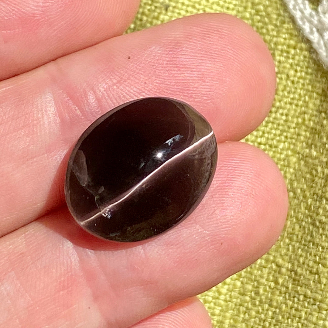 Cat's Eye Sillimanite, 15.67 ct. Precious African Gem, Razor Sharp Eye