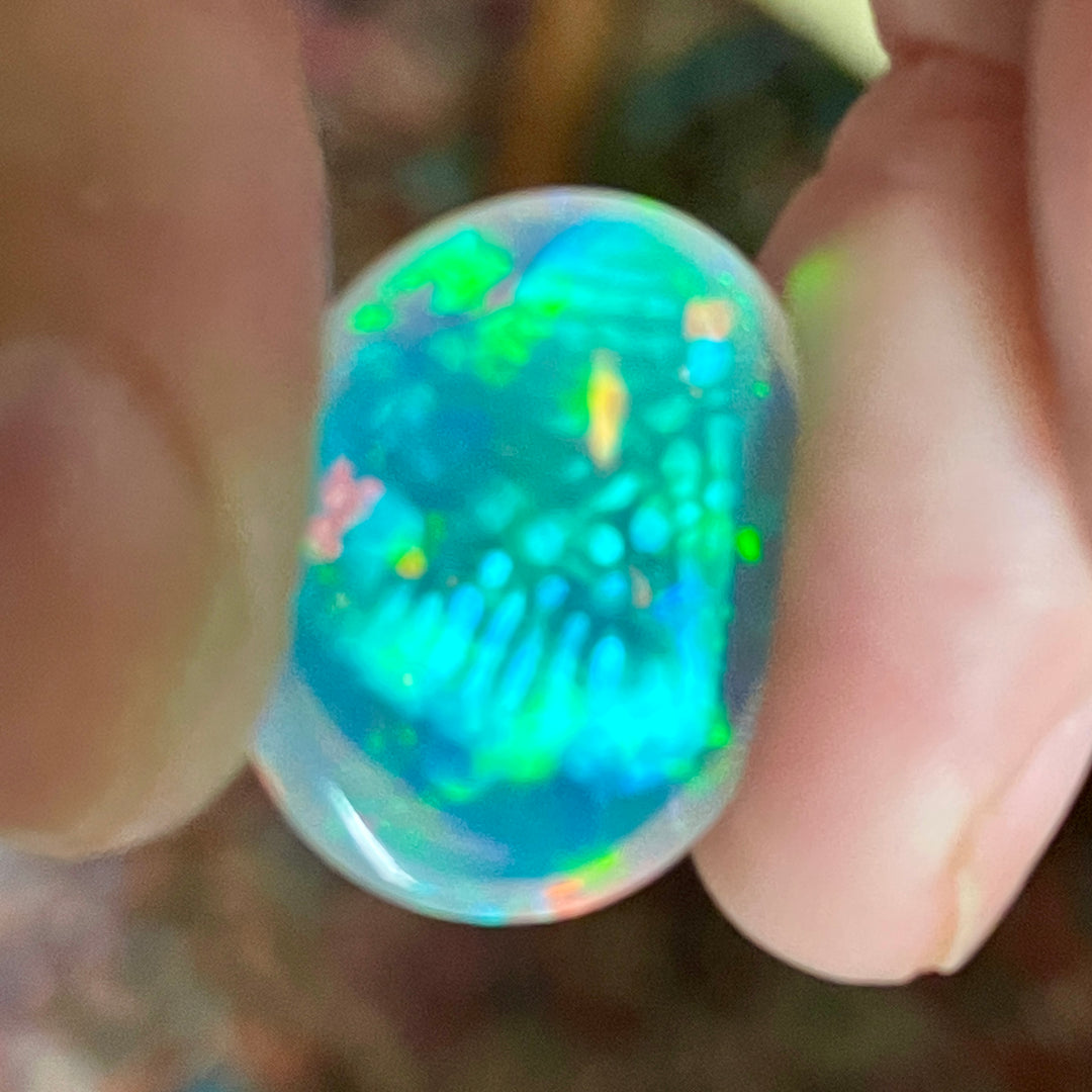 13.64 Welo Opal 5/5 Unique Honeycomb/Brain Pattern