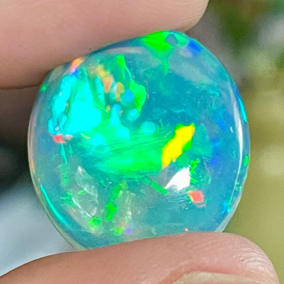 13.64 Welo Opal 5/5 Unique Honeycomb/Brain Pattern