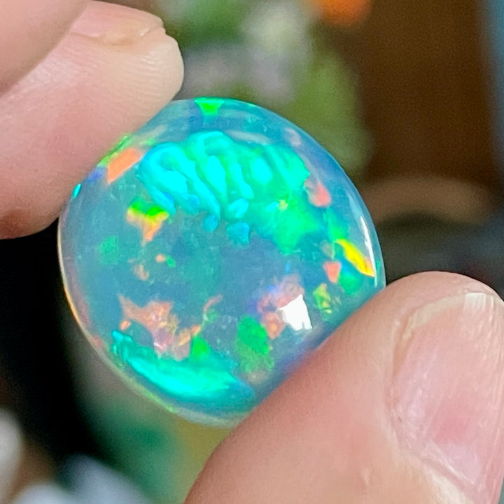 13.64 Welo Opal 5/5 Unique Honeycomb/Brain Pattern